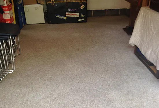 Importance of Carpet Cleaning